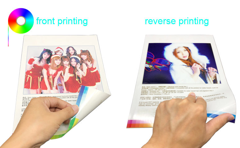 front printing and reverse printing backlit film